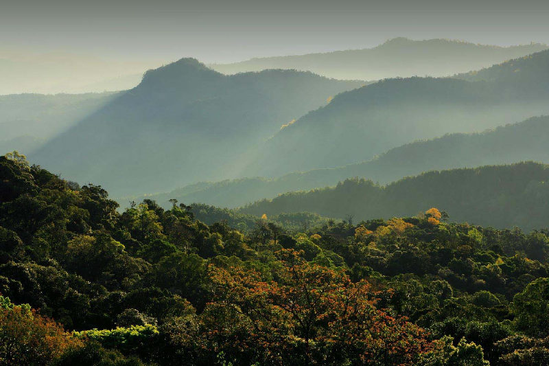 Thailand Inédite